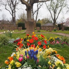 Kriegsgräber Friedhof Grünstadt