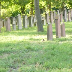 Jüdischer Friedhof