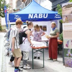 Nabu Eisenberg/Leiningerland